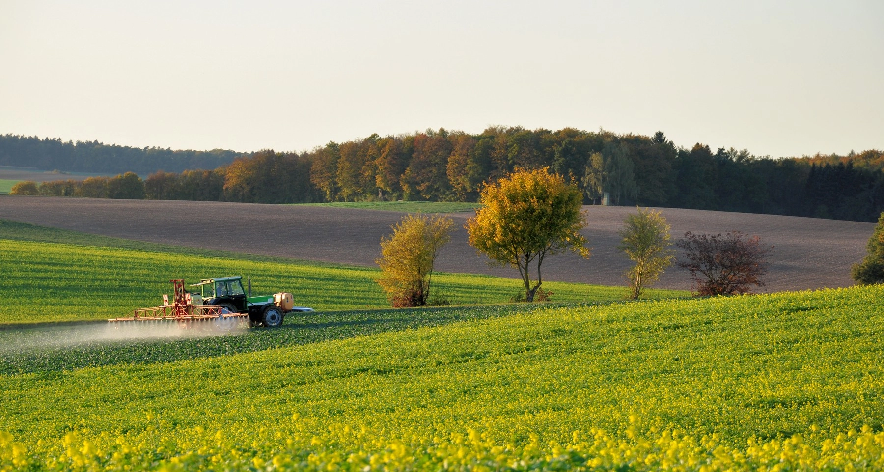 anm culturile agricole si pomii raman in repaus vegetativ in urmatoarea saptamana