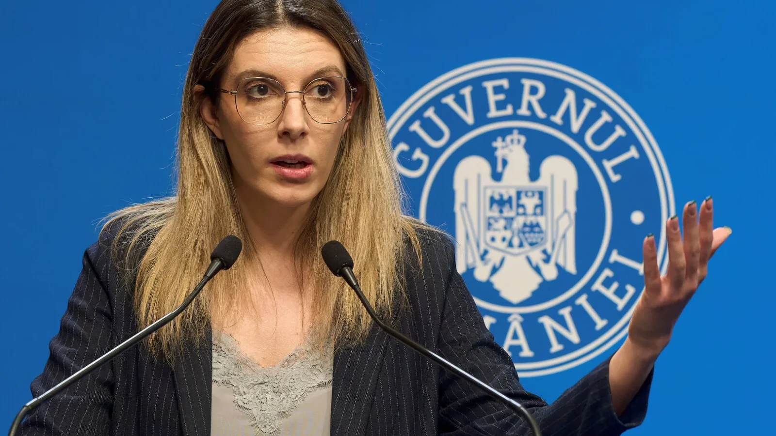 bateriile de stocare finantate de stat programul ar putea fi lansat in octombrie anunta ministrul interimar al mediului