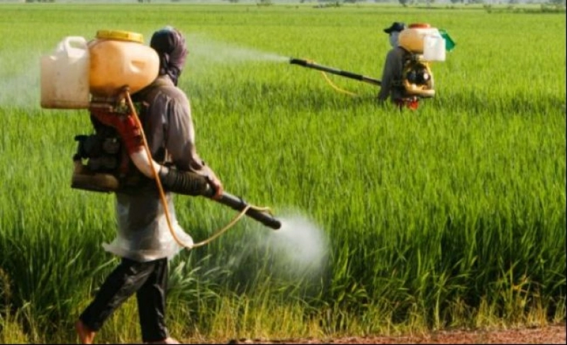 canada exprima ingrijorari privind reglementarile ue asupra pesticidelor in importurile agroalimentare