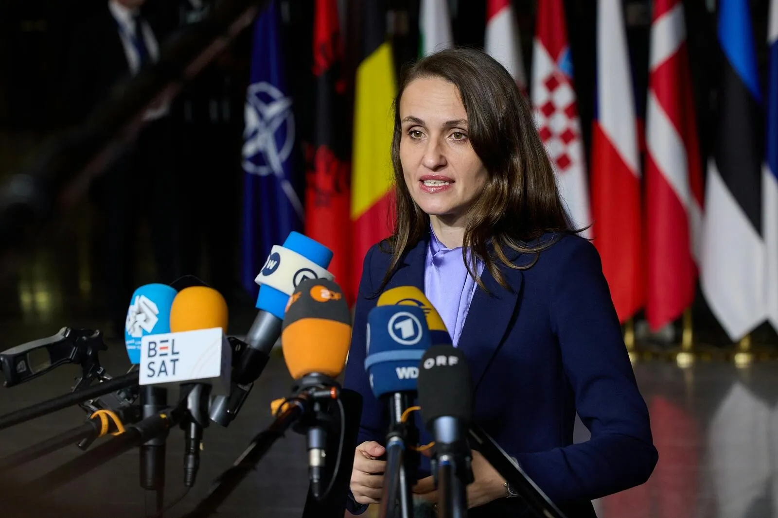 oana toiu anunta cursuri de limba romana in scolile din germania si reinvierea comisiei mixte cu bavaria