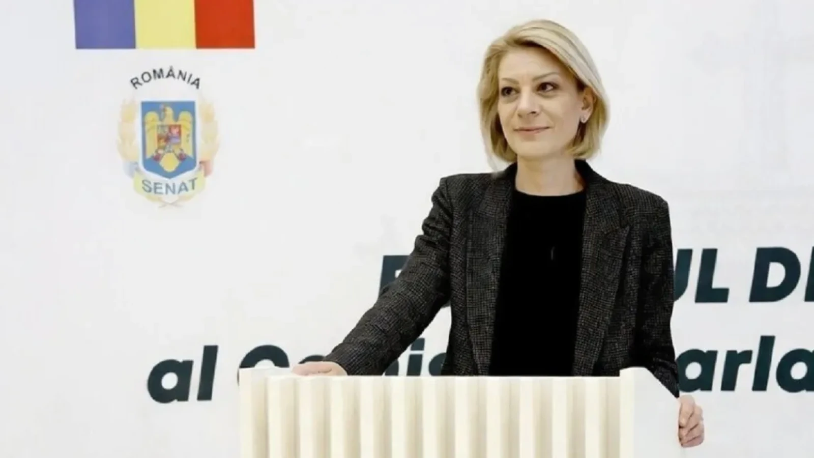 sefa comisiei anti trafic riposteaza dupa atacurile lui ghinea saboteaza lupta impotriva criminalitatii organizate