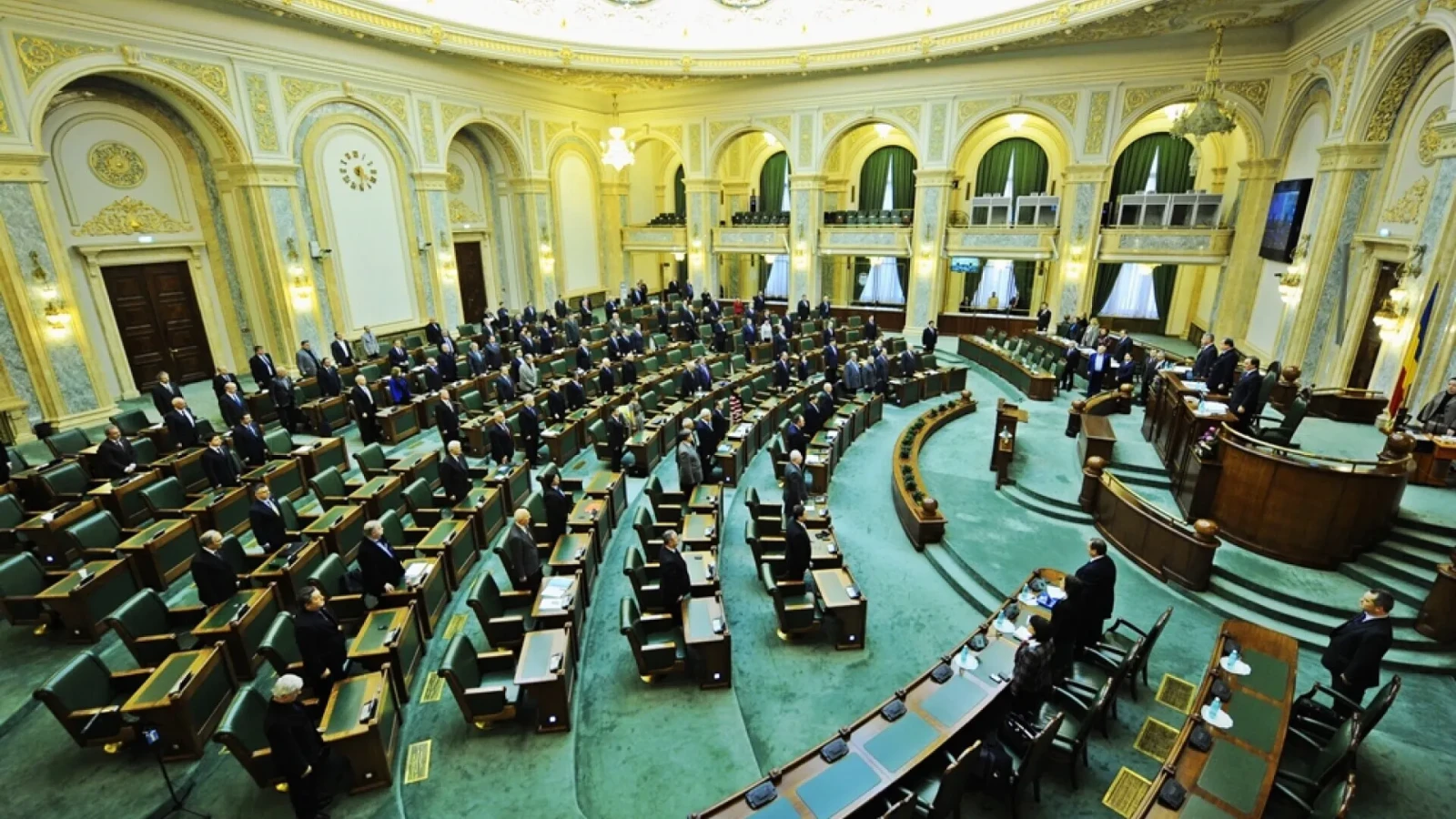 senatul dezbate si voteaza motiune simpla impotriva ministrului mediului diana buzoianu