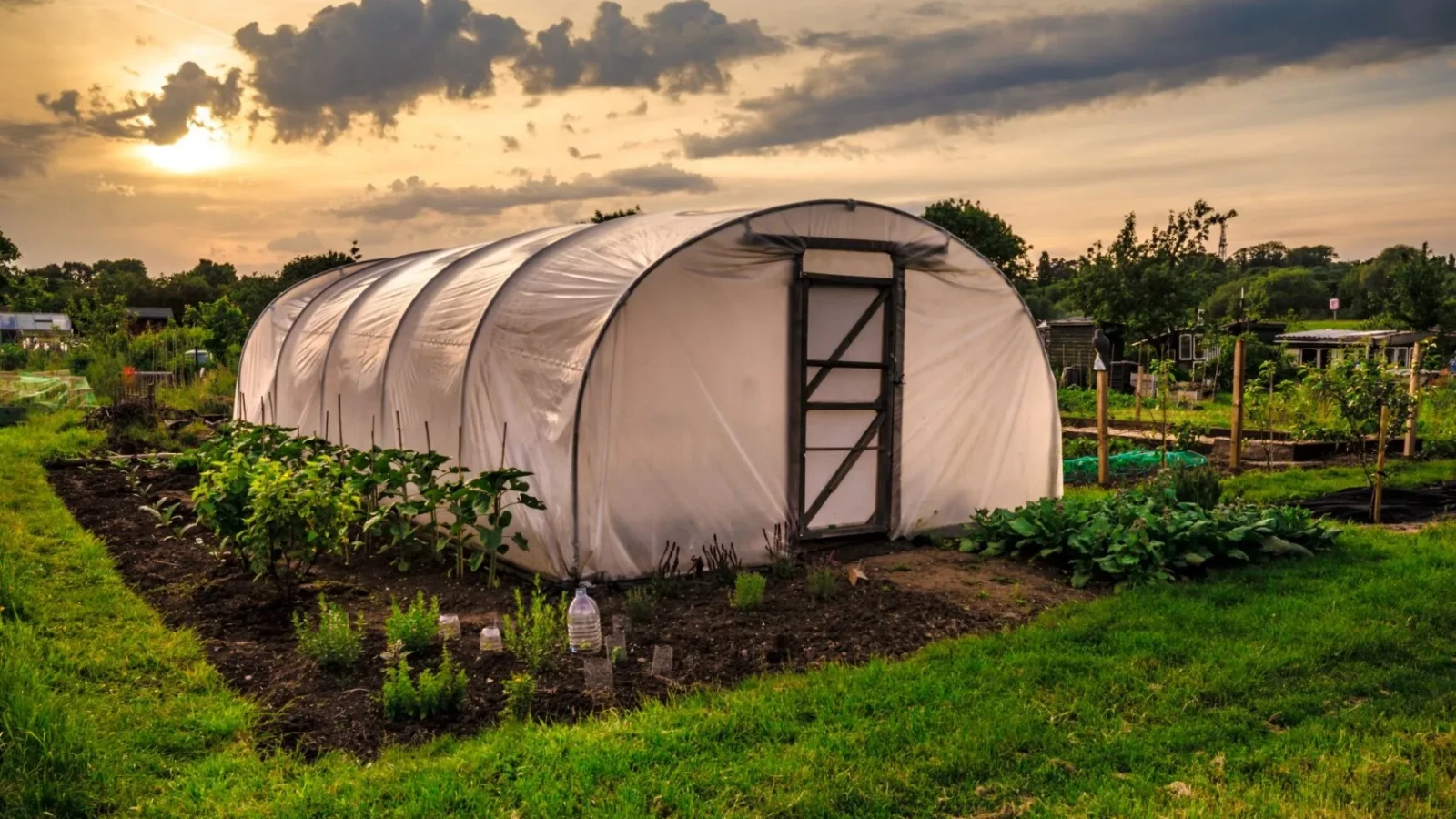 sprijin financiar pentru sere si solarii 275 de milioane de lei alocati producatorilor de legume in 2026